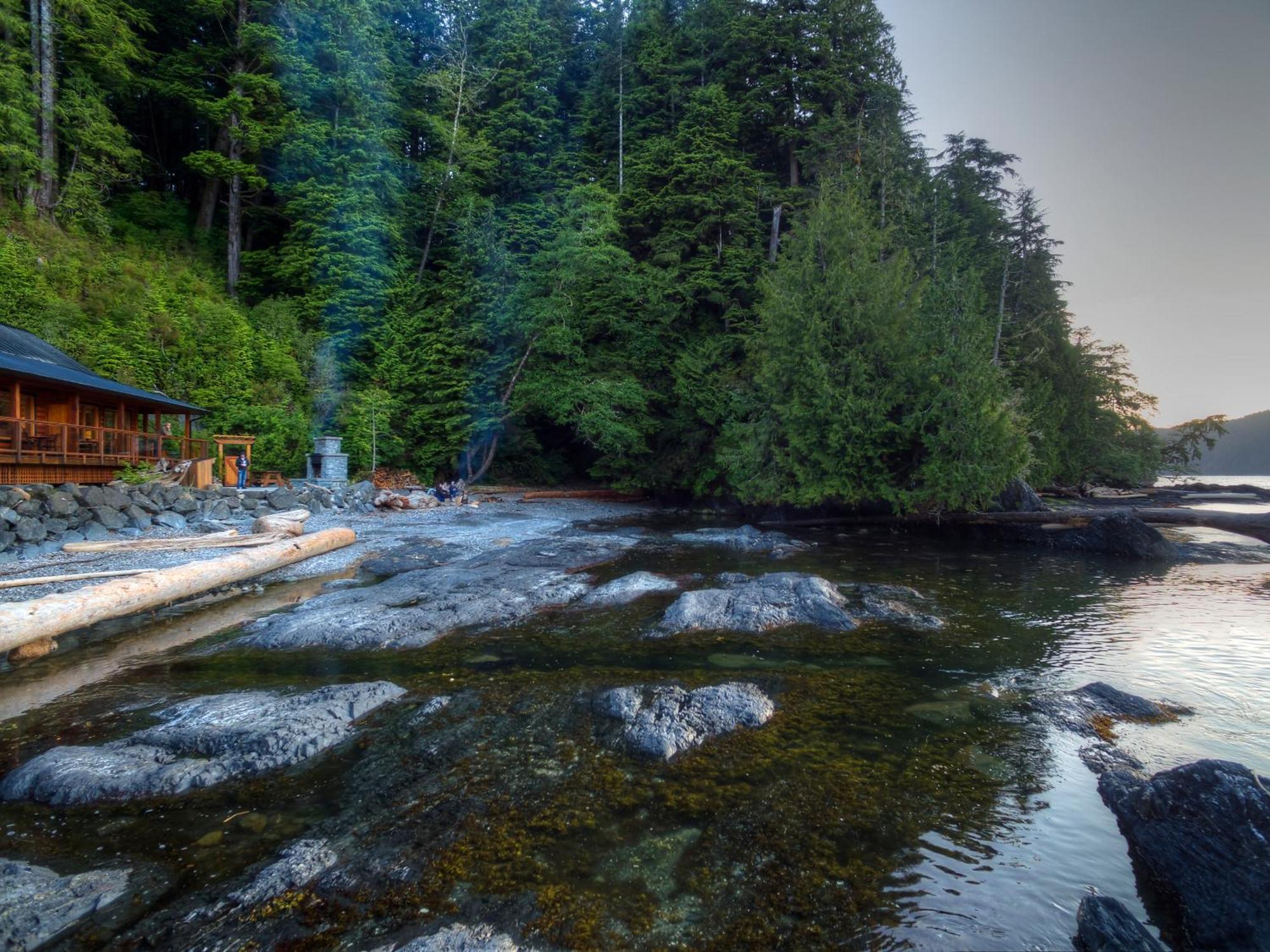 Wild Renfrew Seaside Cottages Port Renfrew Room photo