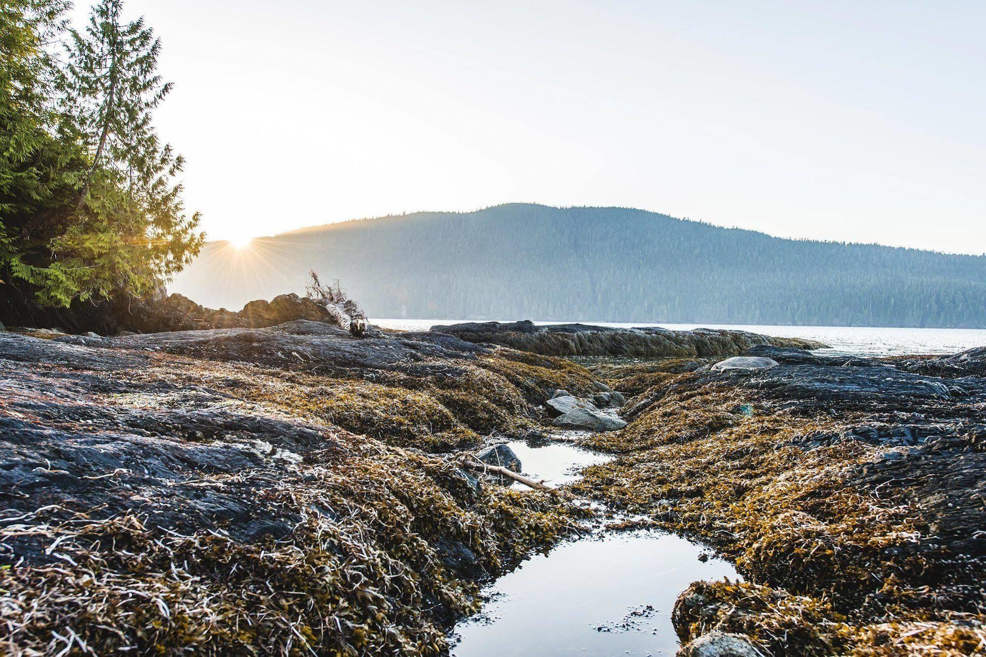 Wild Renfrew Seaside Cottages Port Renfrew Exterior photo